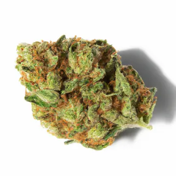 A Slurbert cannabis bud on Ganjacy.com