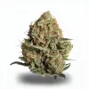 A London Poundcake Cannabis bud from Ganjacy.com