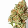 A Frosted Buff Cherry Cannabis bud from Ganjacy.com