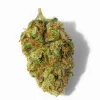 A Lemon Orange Cannabis bud from Ganjacy.com