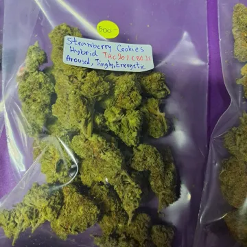 Strawberry Cookies cannabis bud on Ganjacy.com
