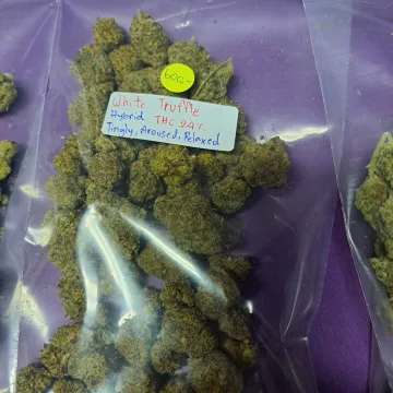 White Truffle cannabis bud on Ganjacy.com