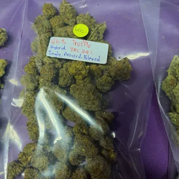 White Truffle cannabis bud on Ganjacy.com