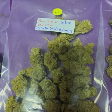 Maui Wowie from 420 Medical Cannabis Dispensary