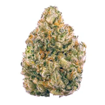 AK-47 strain from Ganjacy.com