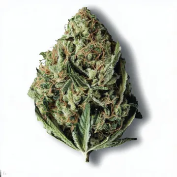 Order Cookies Kush at Ganjacy.com