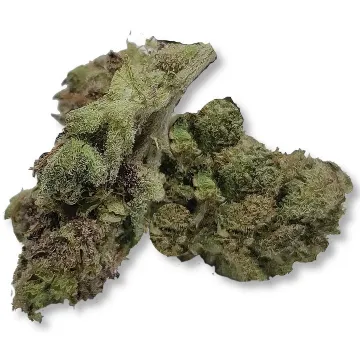 Example of Mandarin Cookies cannabis available for order on Ganjacy.com