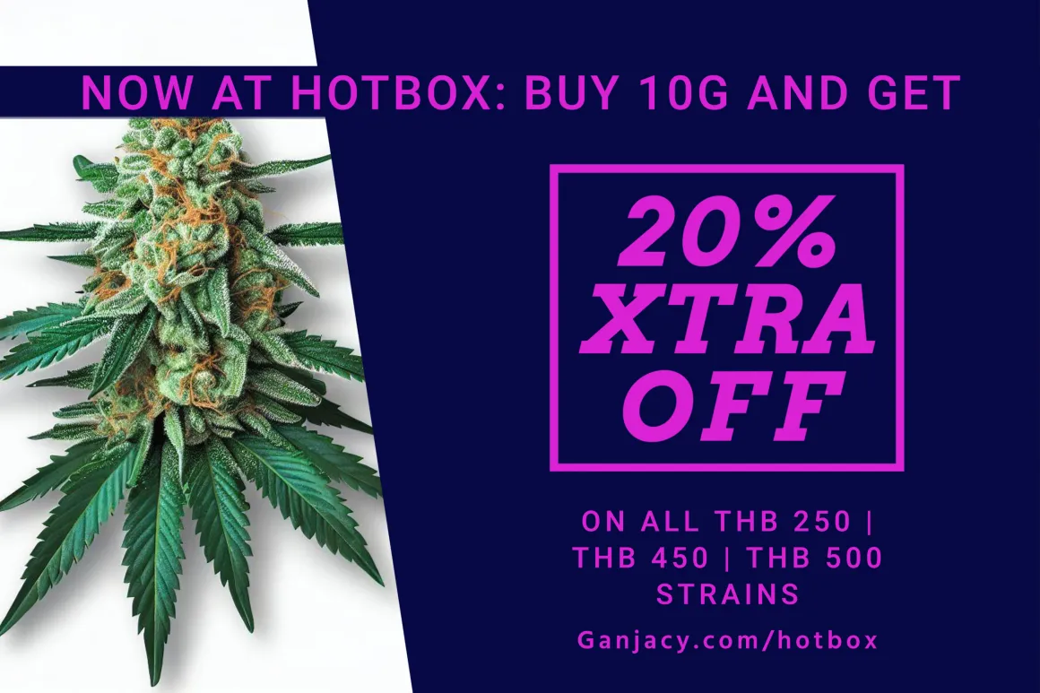 Banner of a cannabis bud and a blue background with bright font announcing a 20% extra discount when buying 10g or more of selected strains from Hotbox Jomtien Beach on Ganjacy.com