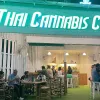 Thai Cannabis Club - Soi 7