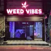 Weed Vibes | Phuket Weed | Cannabis dispensary | กัญชา ภูเก็ต | Ganja | Marijuana