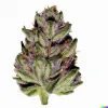 A Pink Runtz Cannabis bud from Ganjacy.com