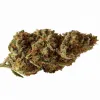 A Ling Louis Cannabis bud from Ganjacy.com