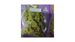 Strawberry Cookies cannabis bud on Ganjacy.com