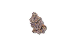 Picture of a Tropicana Cherry Cannabis bud from Ganjacy.com