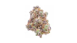 Picture of a Platinum Jelly Cannabis bud from Ganjacy.com