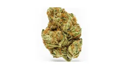 A Dragon's Breath Cannabis bud from Ganjacy.com