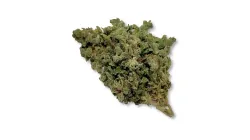 Example of Thai cannabis available for order on Ganjacy.com