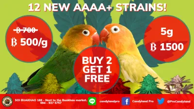 A picture of exotic birds against a backdrop of a cannabis leaf, with Candyland Pattaya's buy 2 get 1 free encircled in the center.