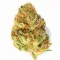 Agent Orange Cannabis Bud on Ganjacy.com