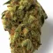 A Blackout Bobby Cannabis bud from Ganjacy.com